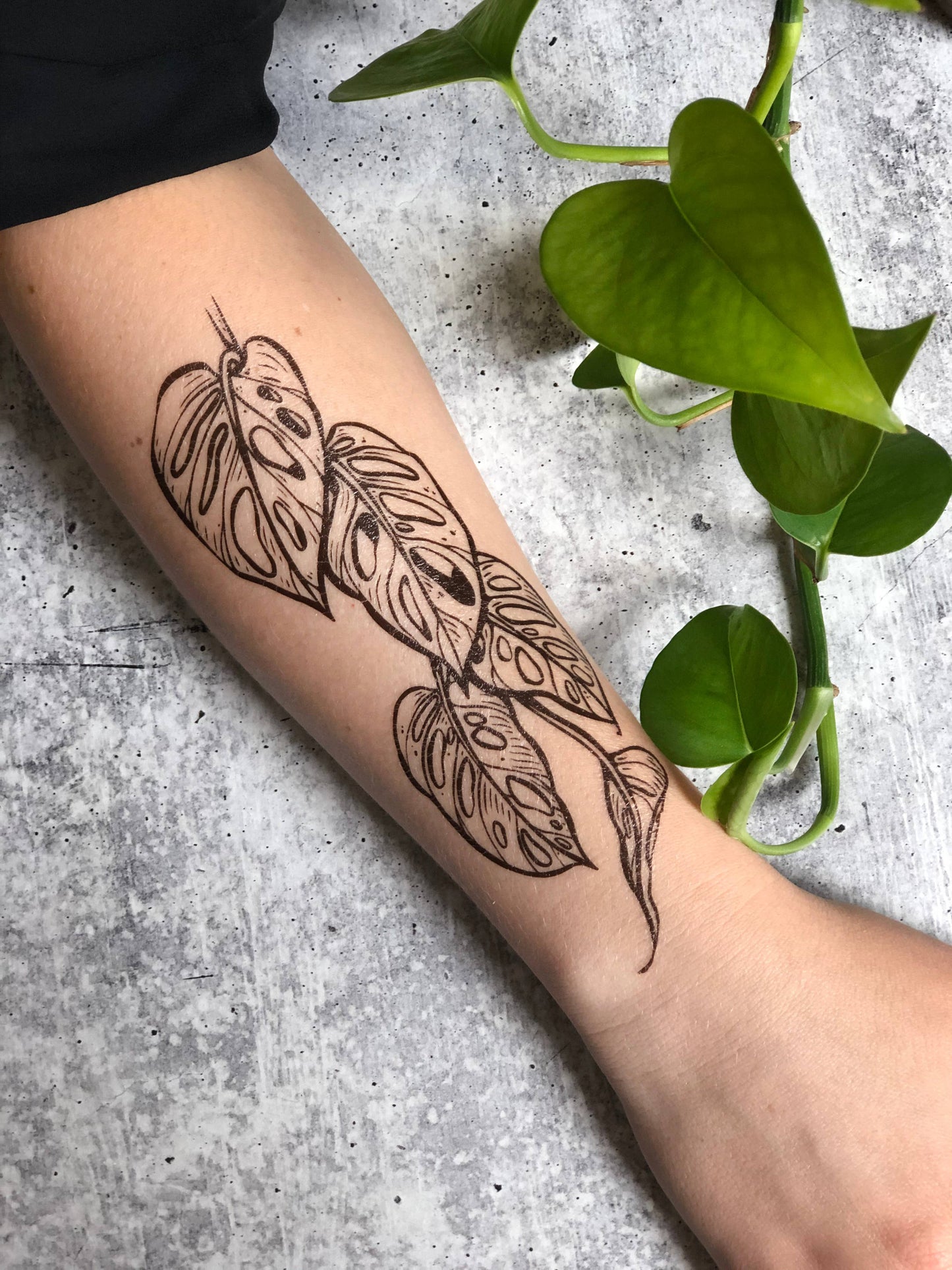 Monstera Vine Temporary Tattoo