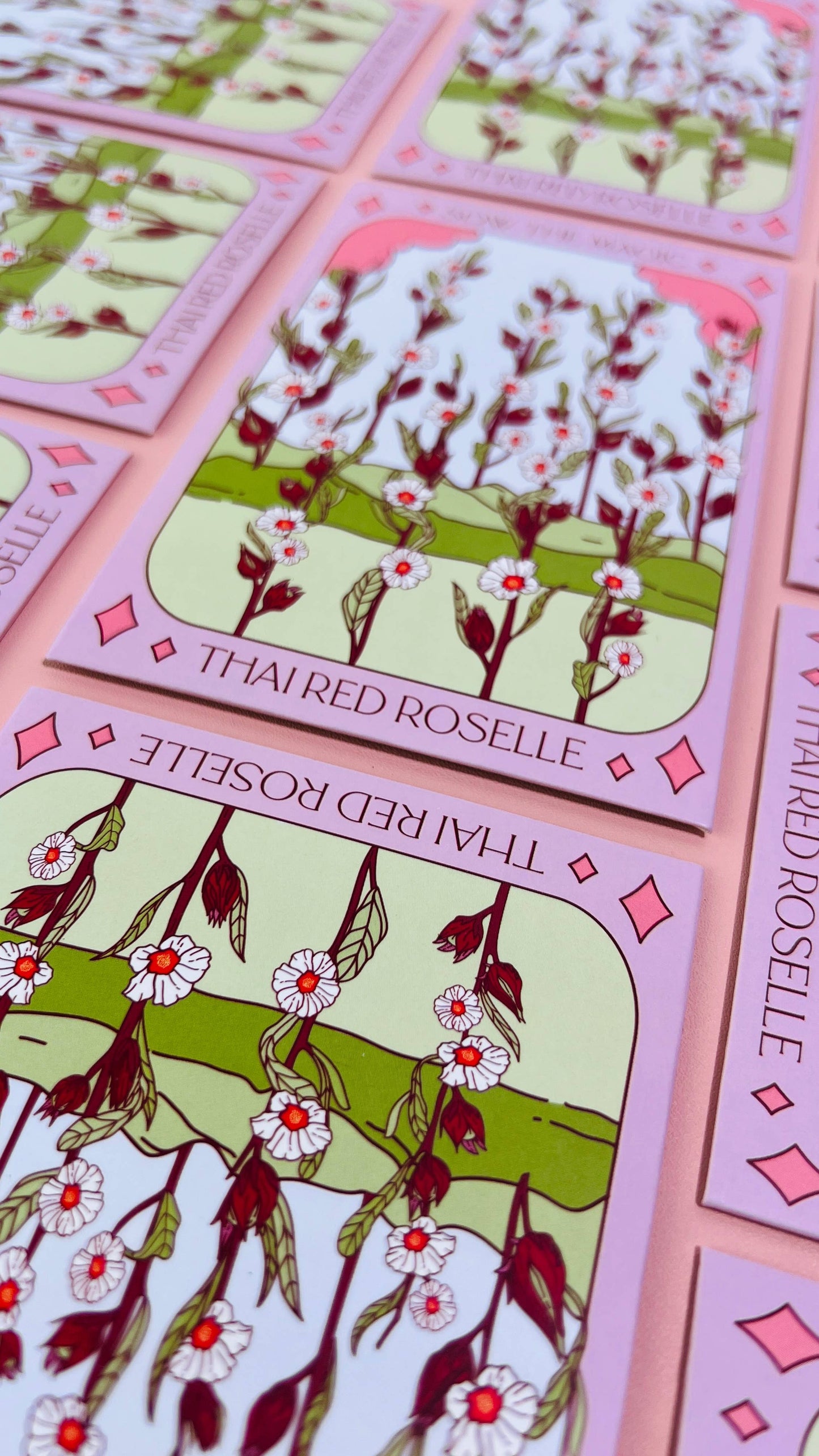 Seed Packet- Thai Red Roselle Hibiscus Tarot Garden + Gift