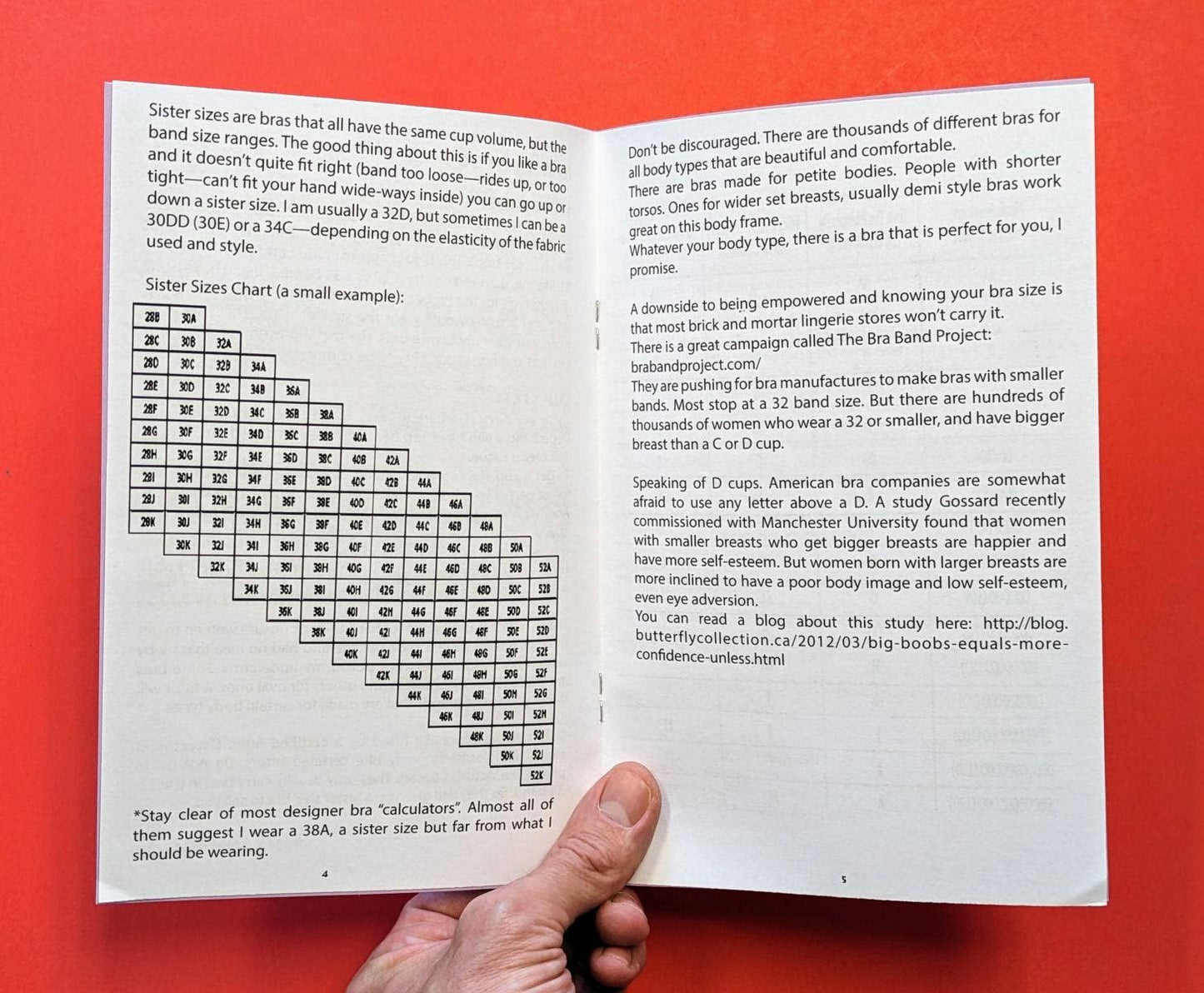 Brazine! (Zine)