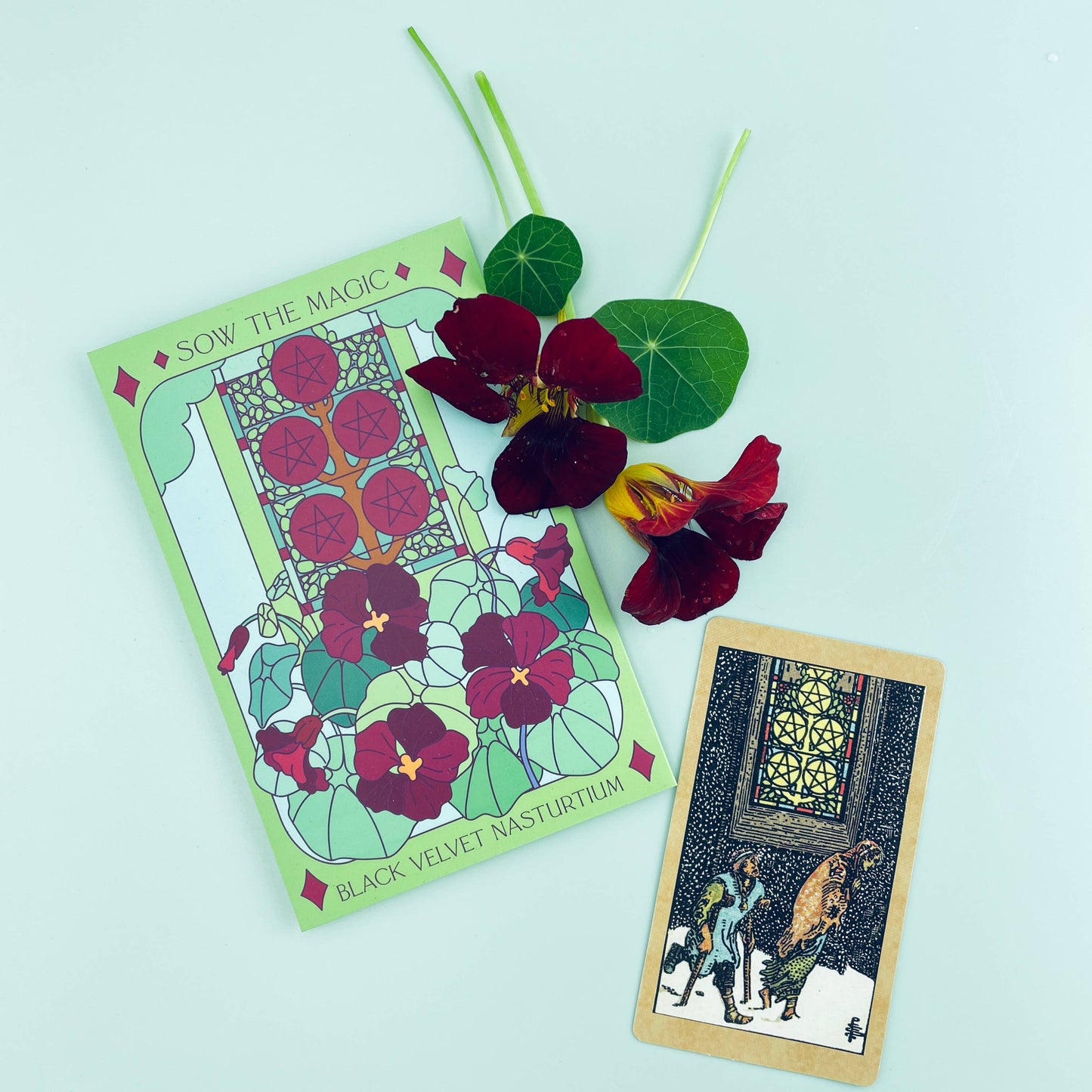 Seed Packet- Black Velvet Nasturtium Tarot Garden + Gift
