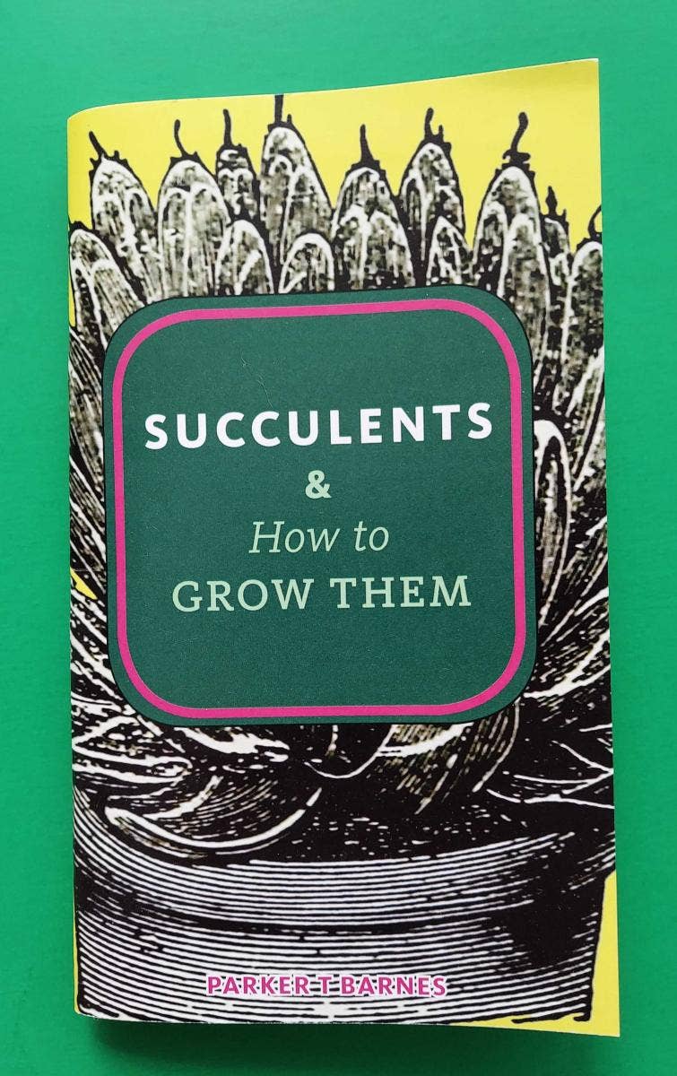 Succulents & How to Grow Them