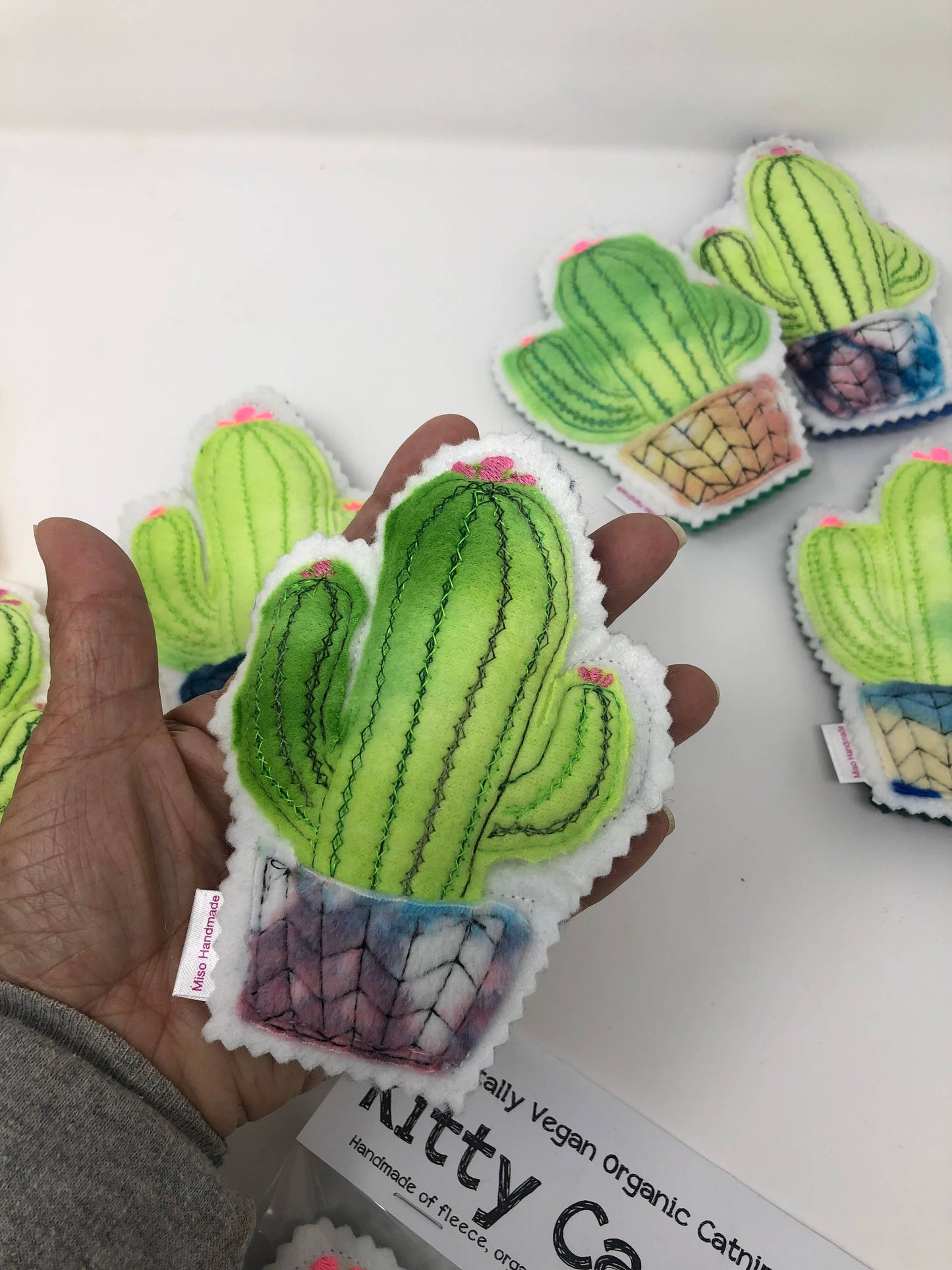 Catnip Cactus 