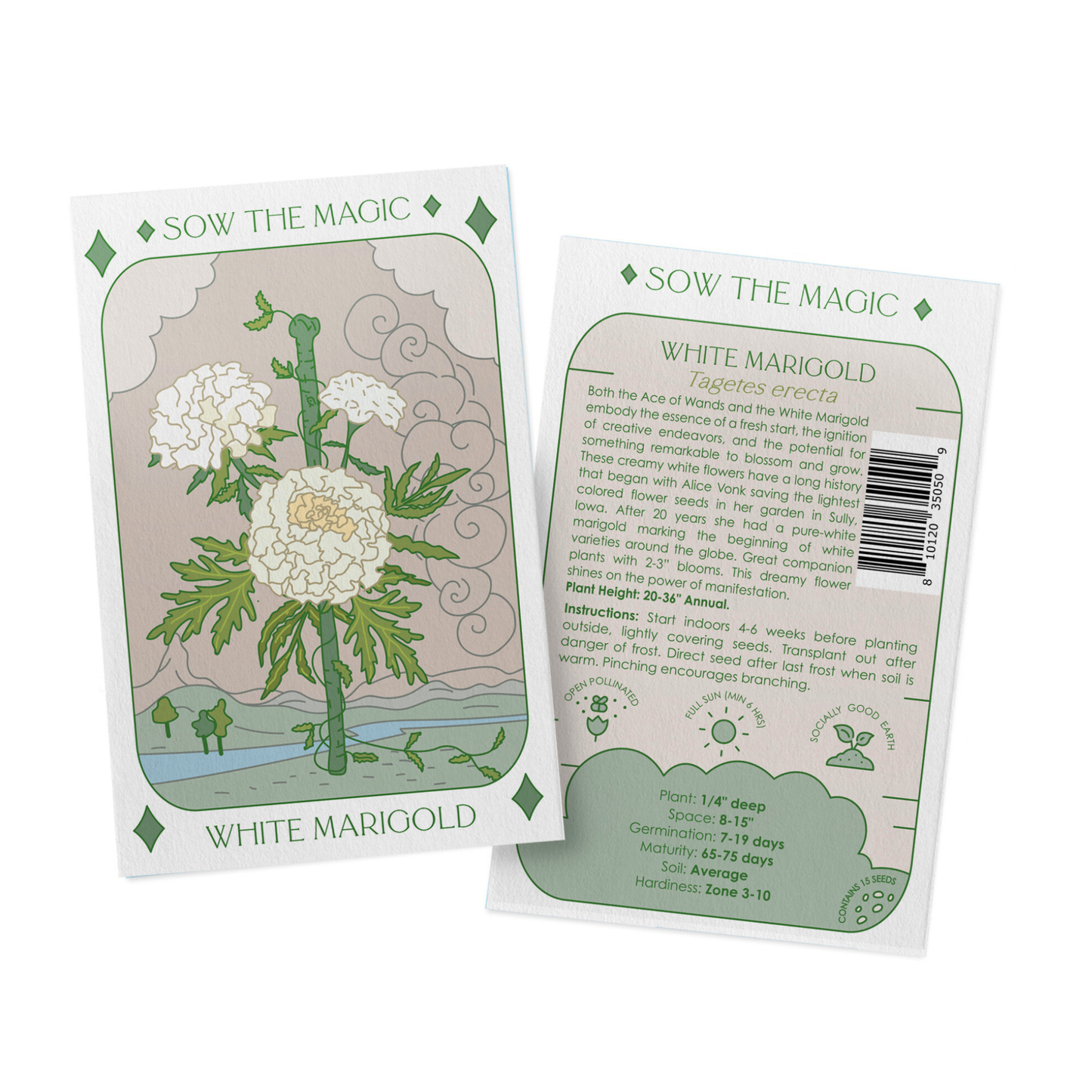 Seed Packet- White Marigold Flower