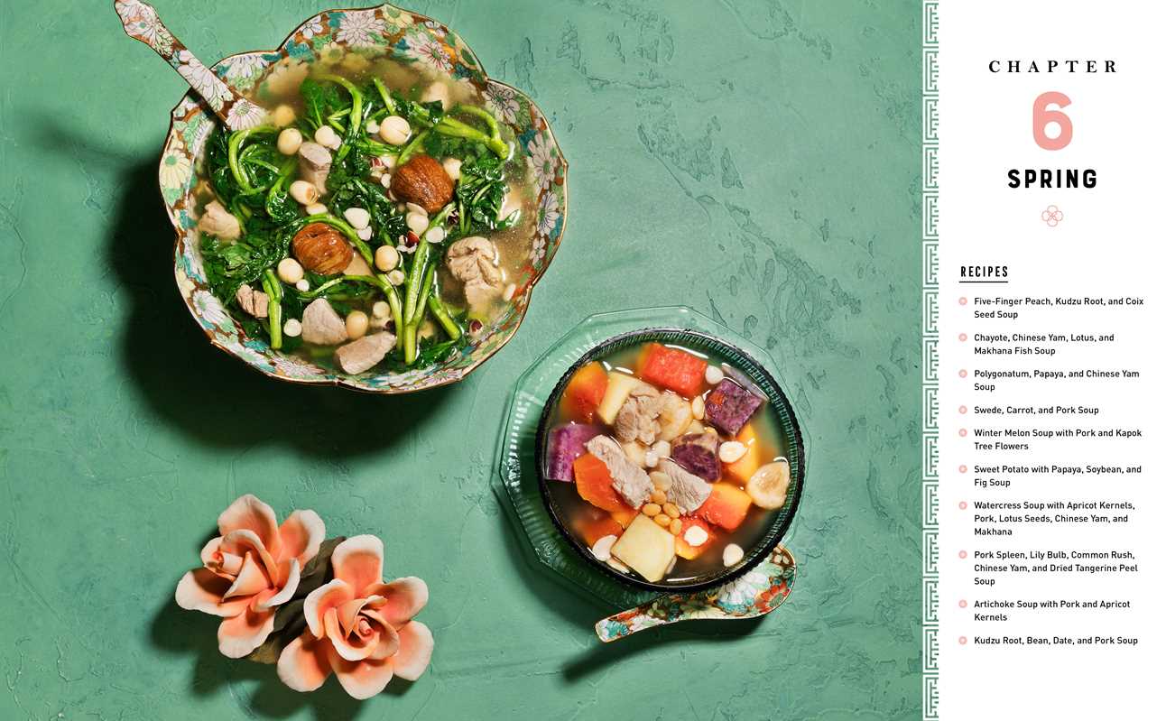Healing Herbal Soups by Rose Cheung