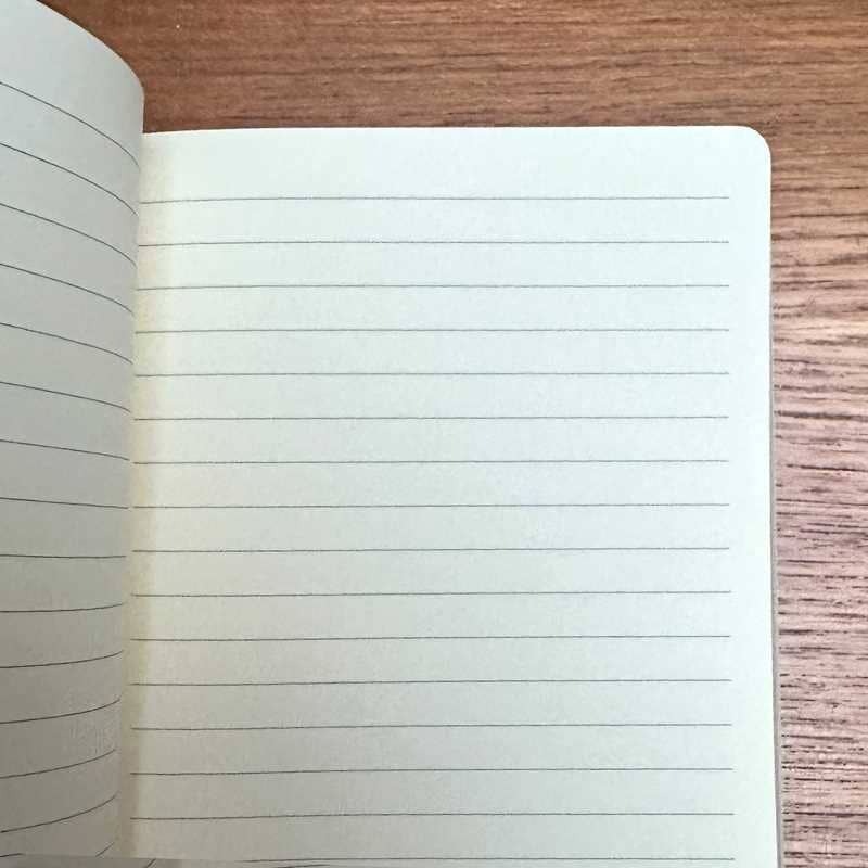 Moomin Love Artisan Art Notebook (Flame Tree Journals) by