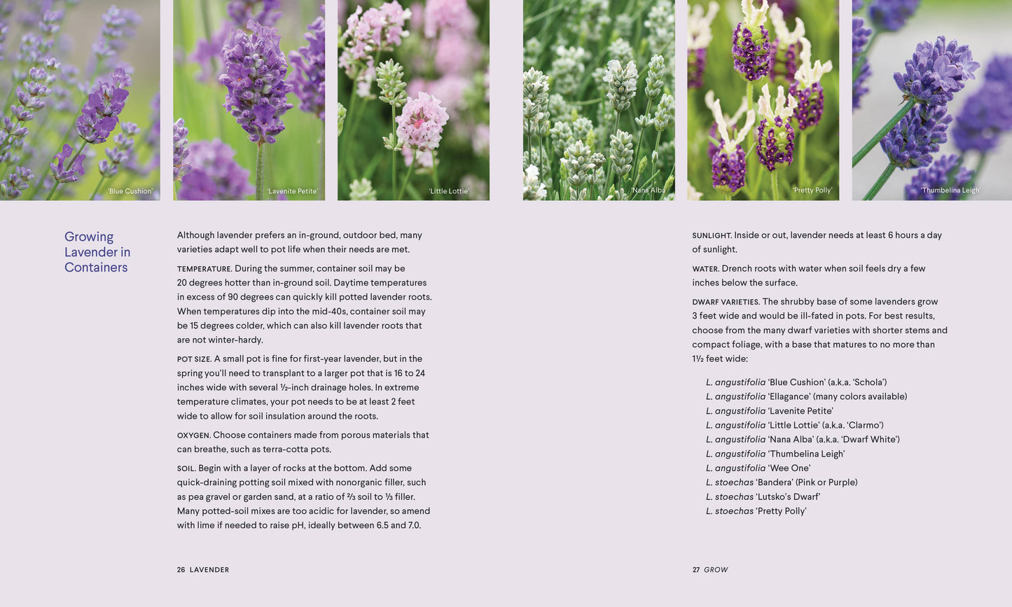 Lavender: 50 Self-Care Recipes and Projects for Wellness