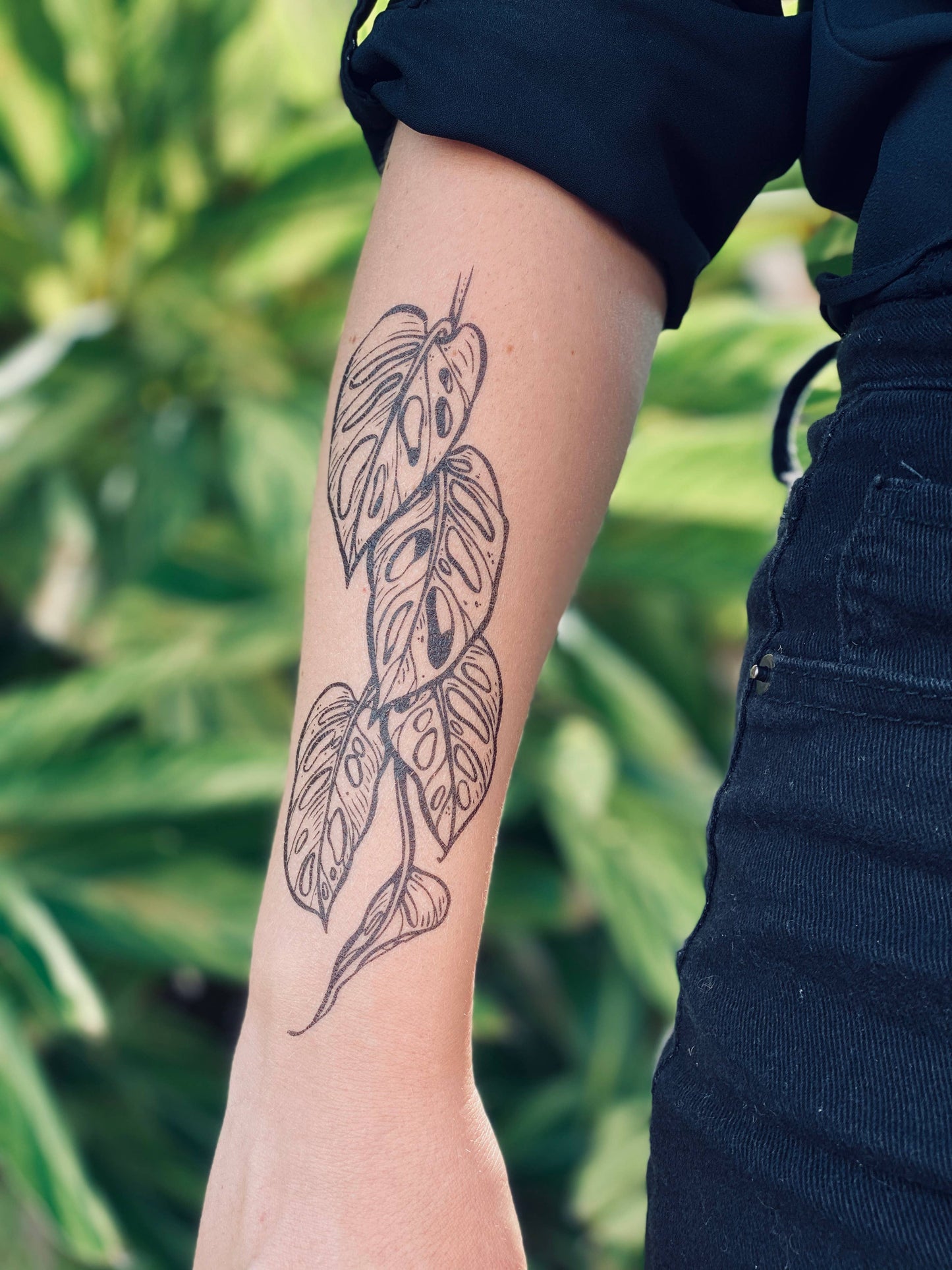 Monstera Vine Temporary Tattoo