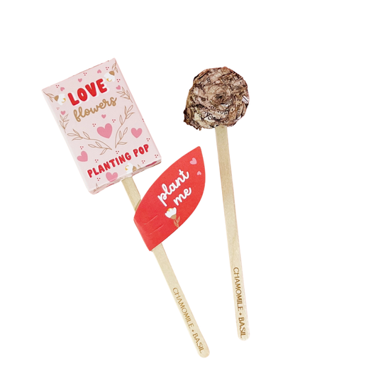 Planting Pop - Love Flowers Seeds