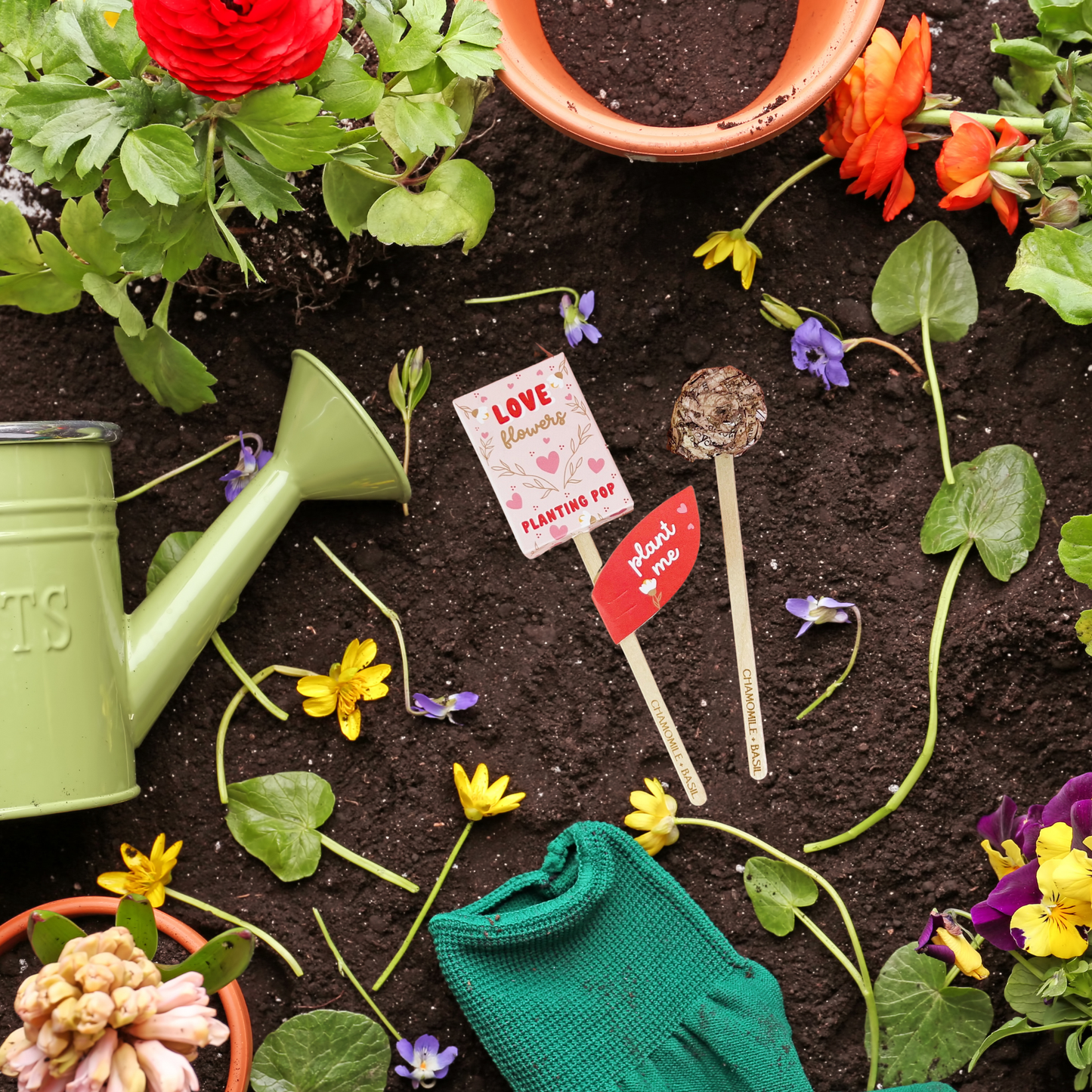 Planting Pop - Love Flowers Seeds