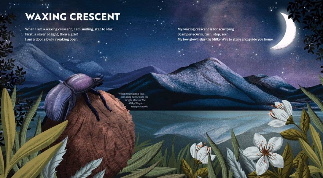 Wild Moon: How the Lunar Phases Light Up Our World