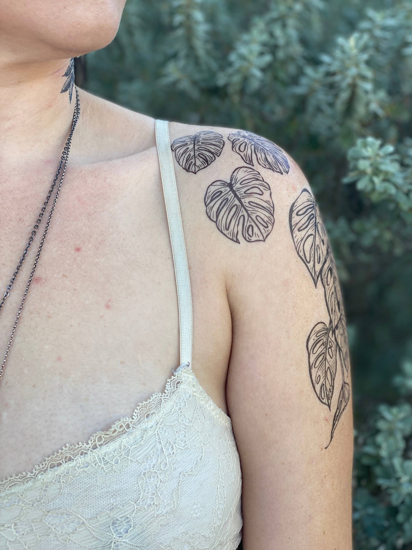 Monstera Vine Temporary Tattoo