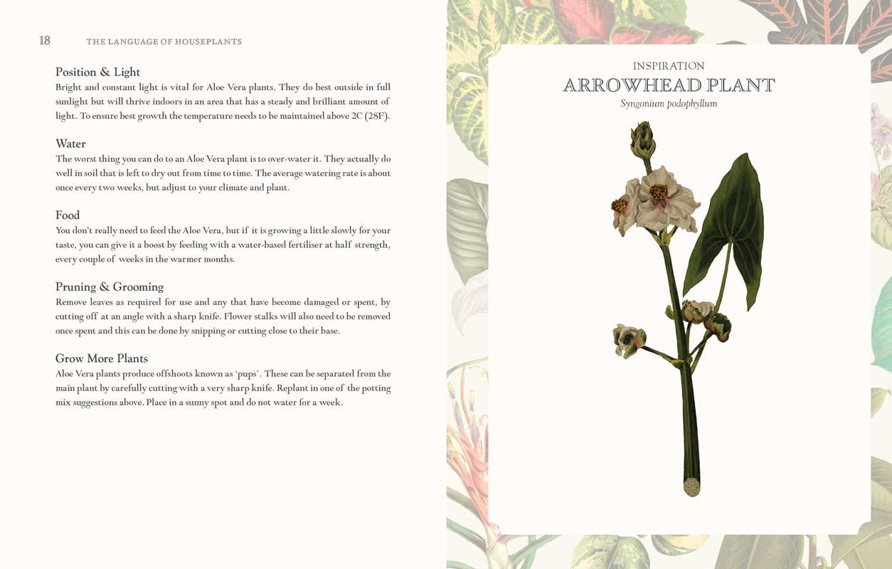 Language of Houseplants by Cheralyn Darcey