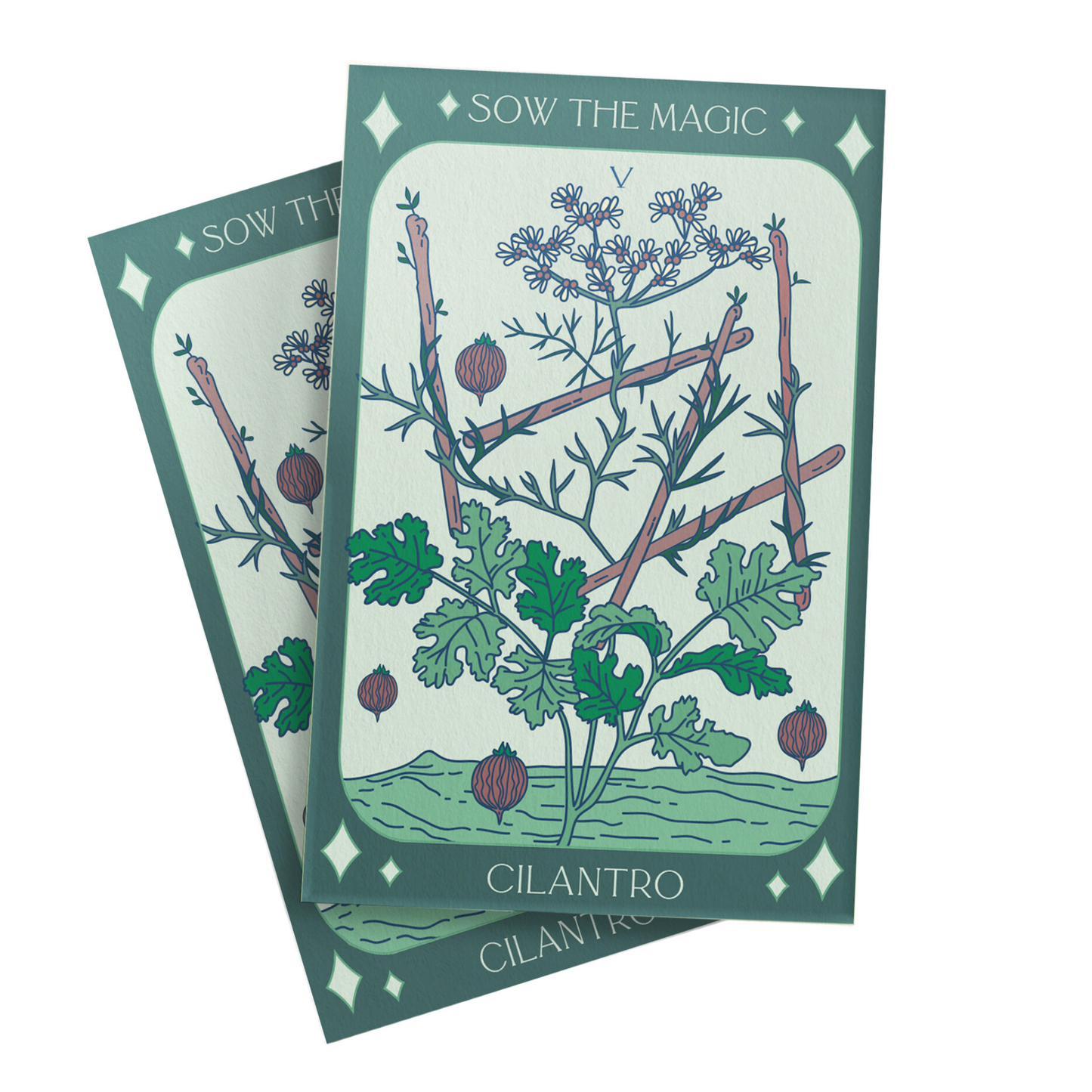 Cilantro Coriander Tarot Seed Packet