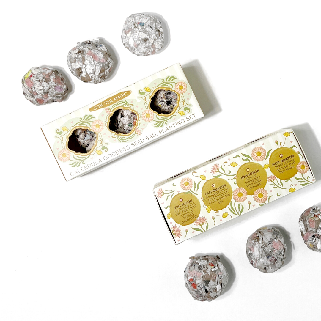 Seed Ball- Calendula Goddess Mini Gift Box