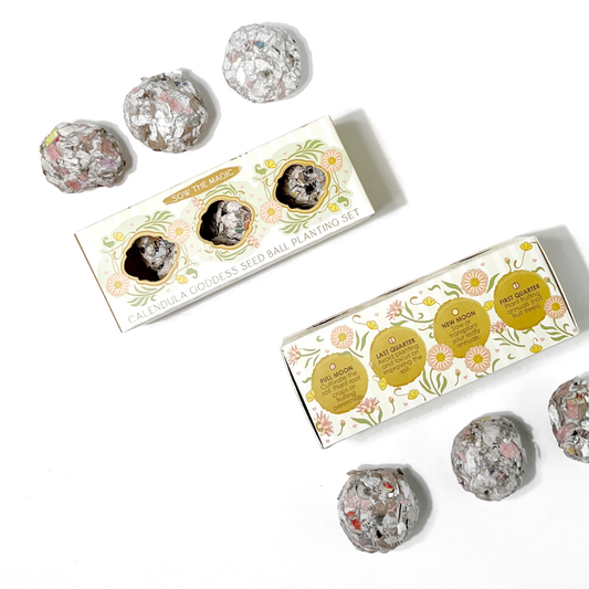 Seed Ball- Calendula Goddess Mini Gift Box
