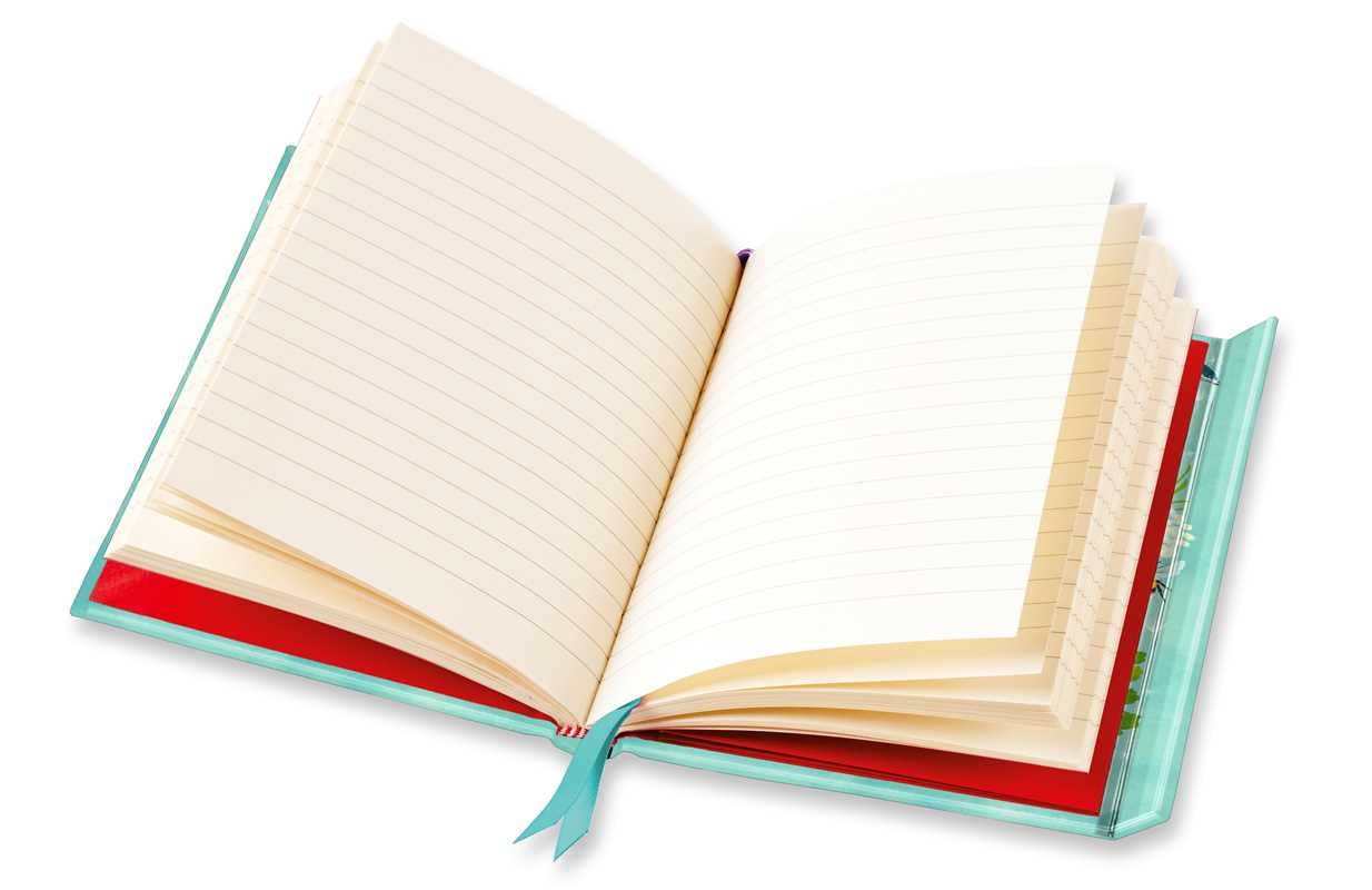 Katherine Quinn: Enchanted Mushroom Garden (Foiled Journal) by