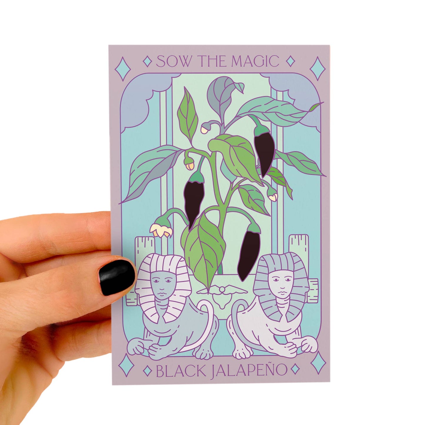 Seed Packet- Black Hungarian Jalapeño Tarot Garden + Gift