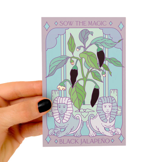 Seed Packet- Black Hungarian Jalapeño Tarot Garden + Gift
