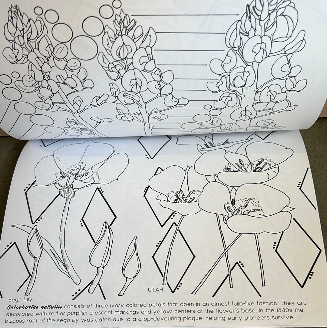 State Flower Coloring Book