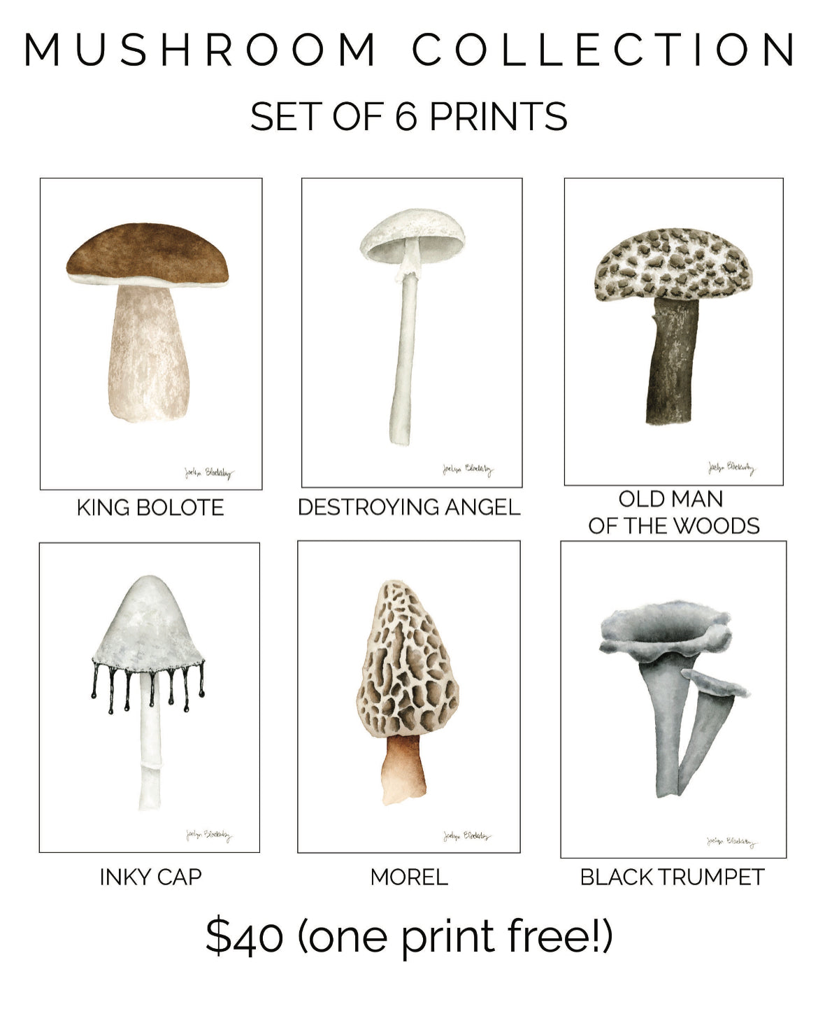 Mushroom Print Sets