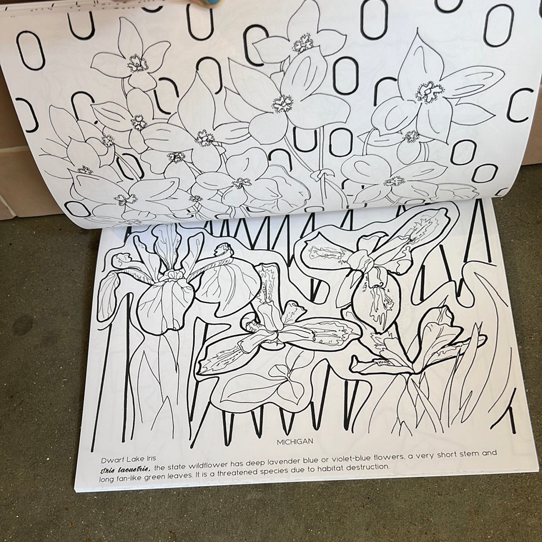 State Flower Coloring Book