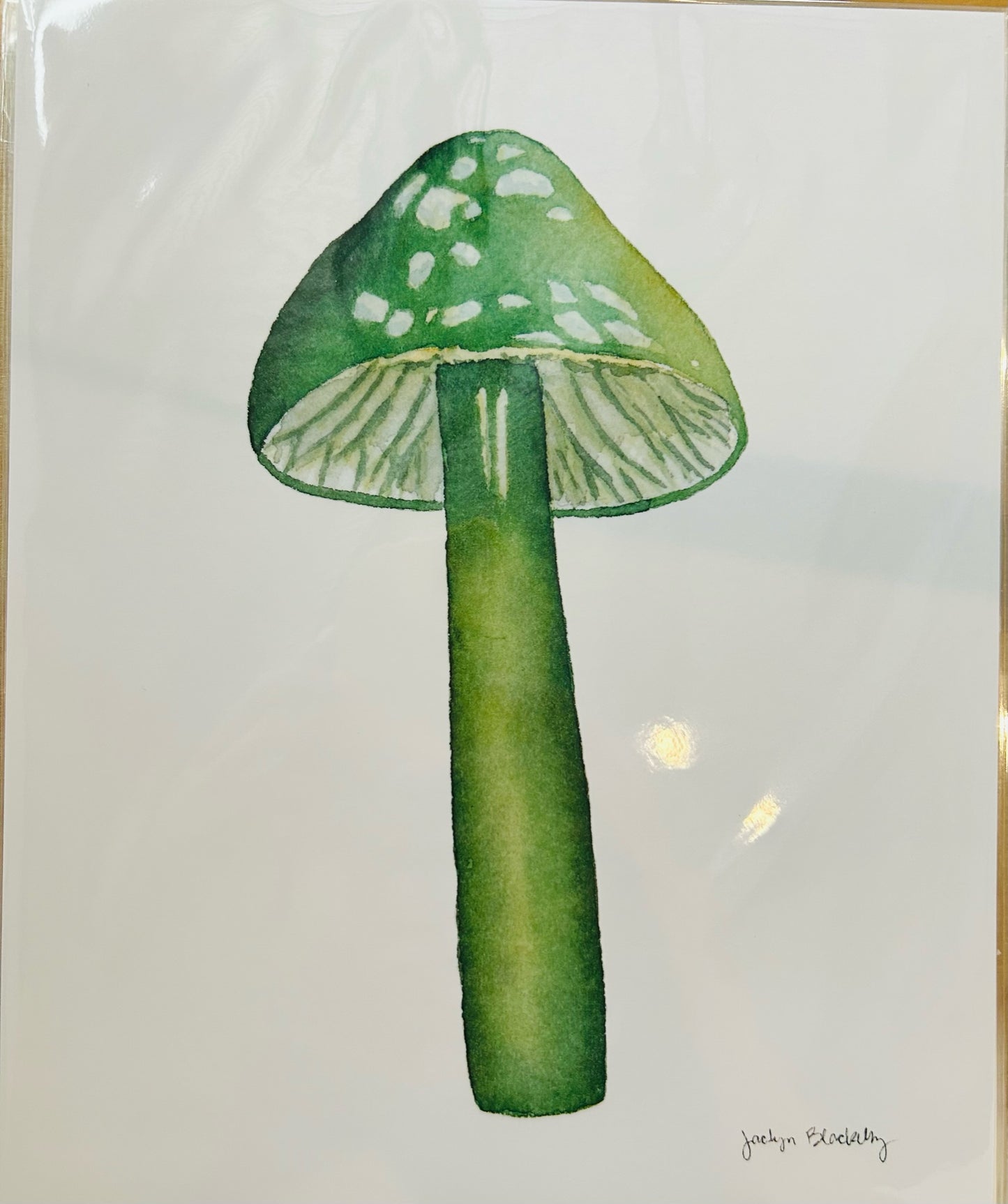 Mushroom Prints 8”x10”