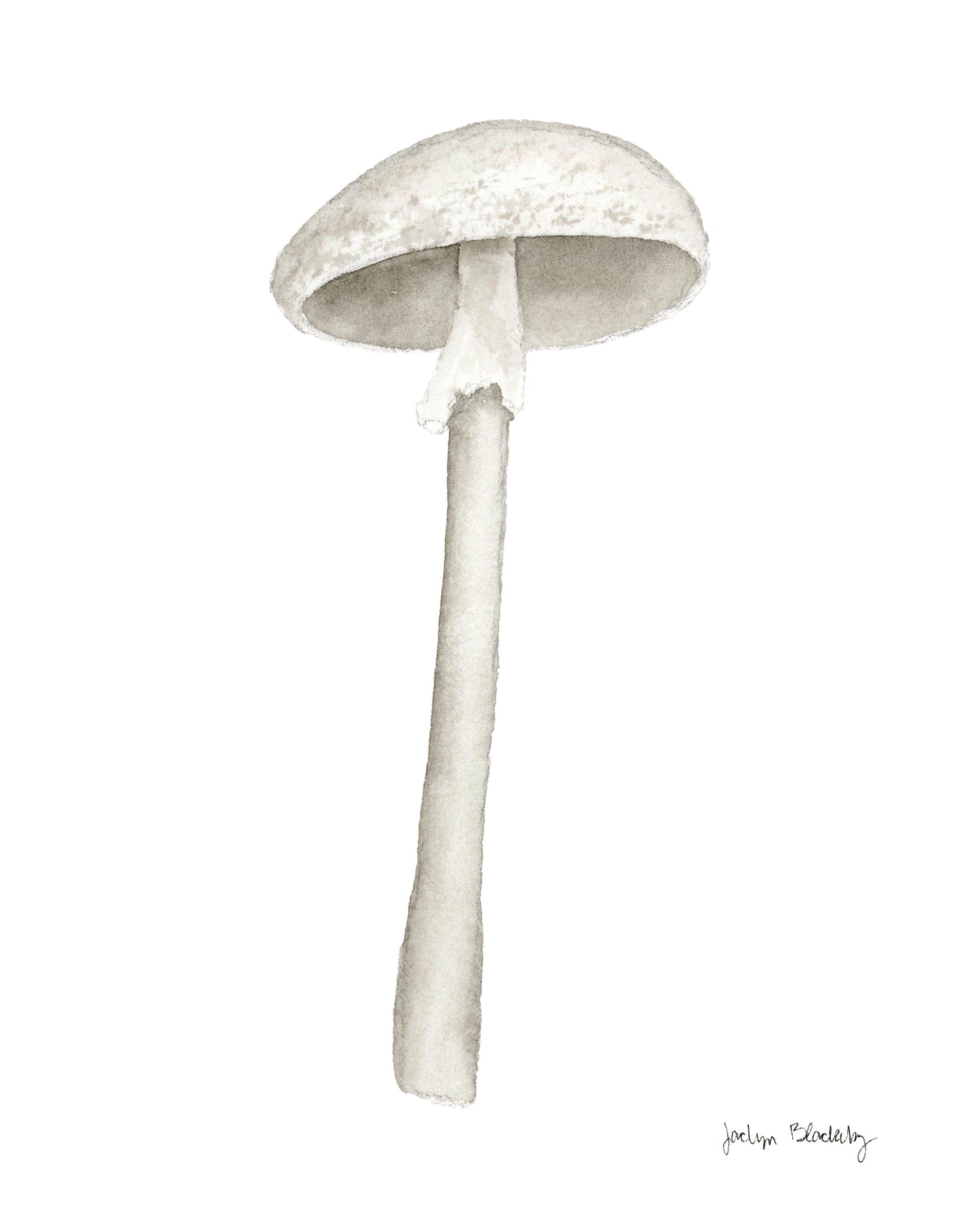 Mushroom Prints 8”x10”