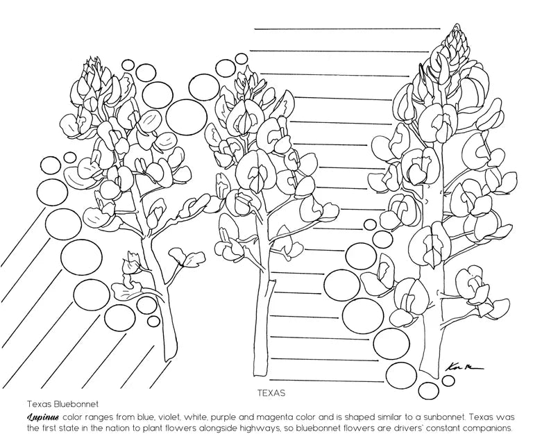 State Flower Coloring Book