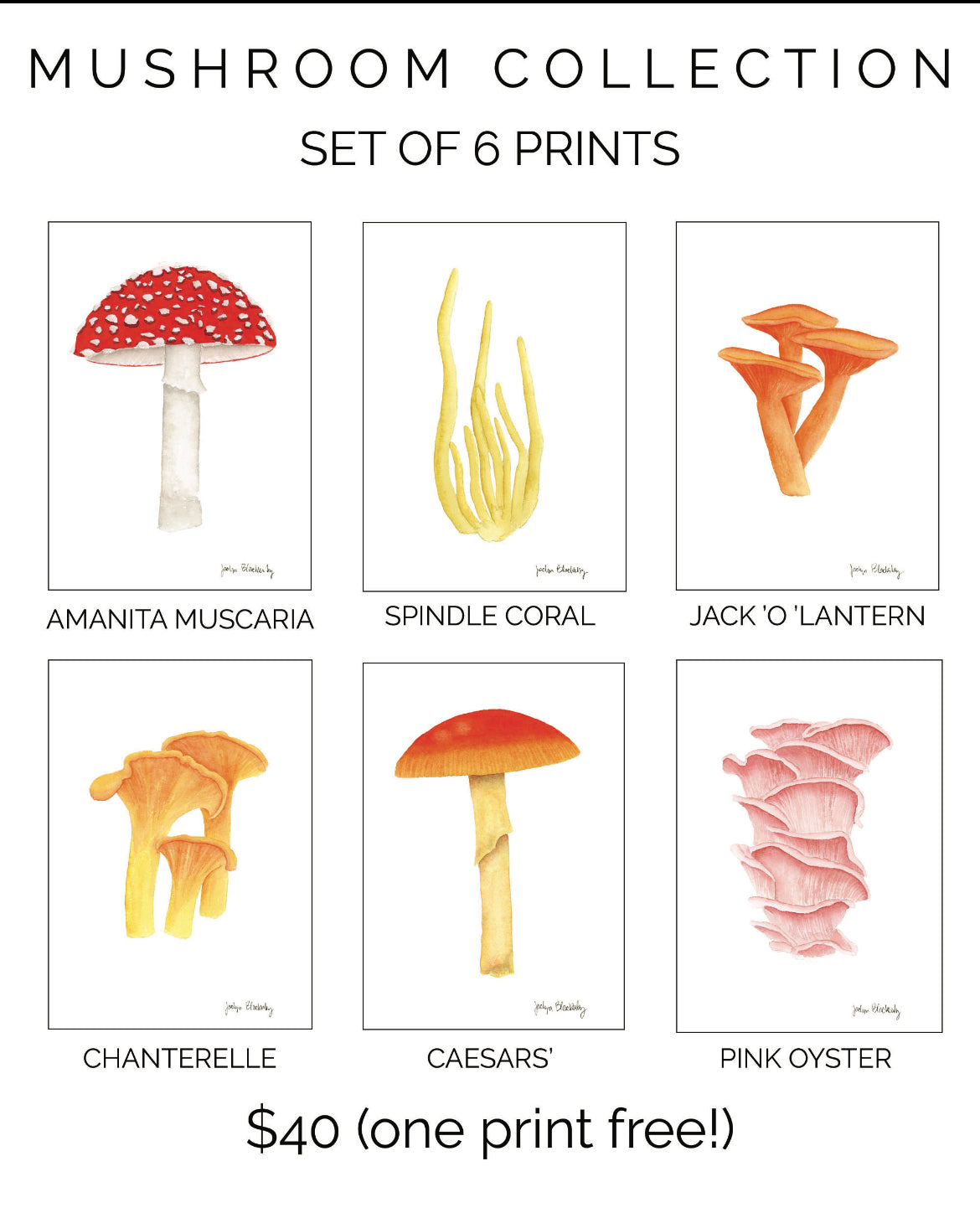 Mushroom Print Sets