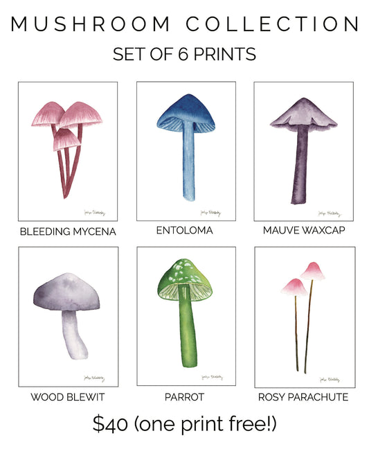 Mushroom Print Sets