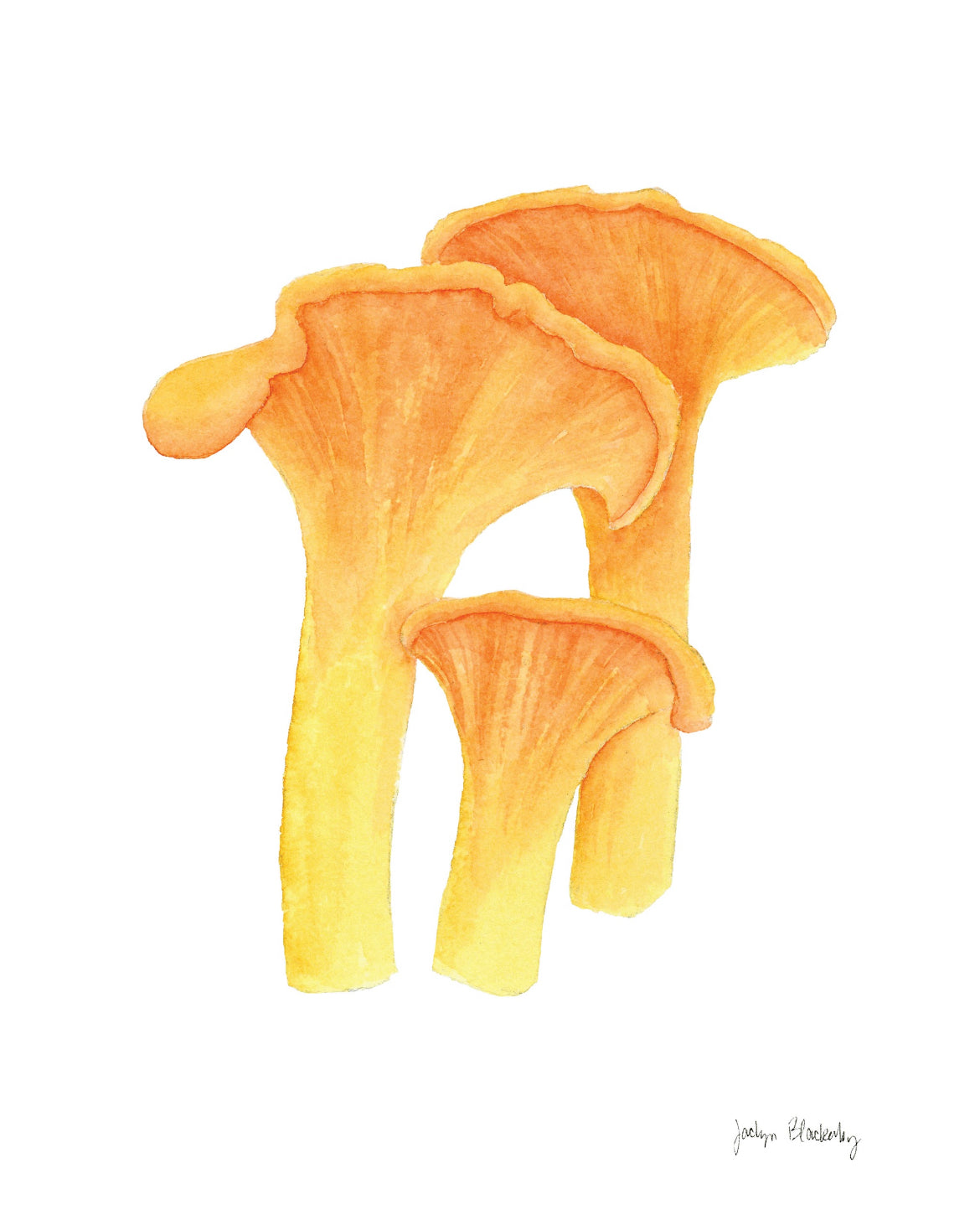 Mushroom Prints 8”x10”