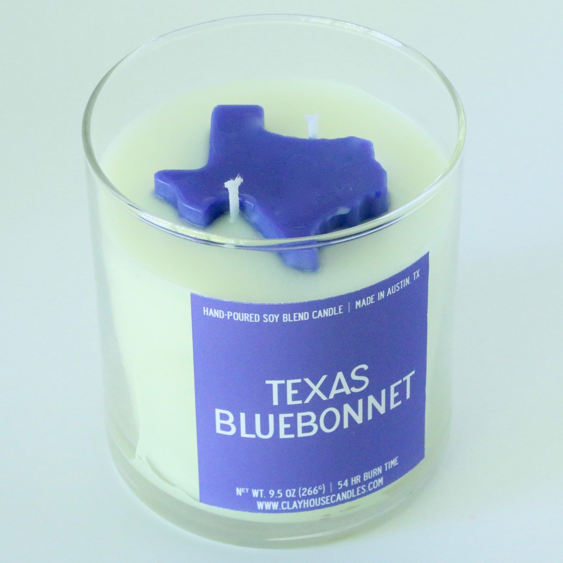 Texas Bluebonnet - 4