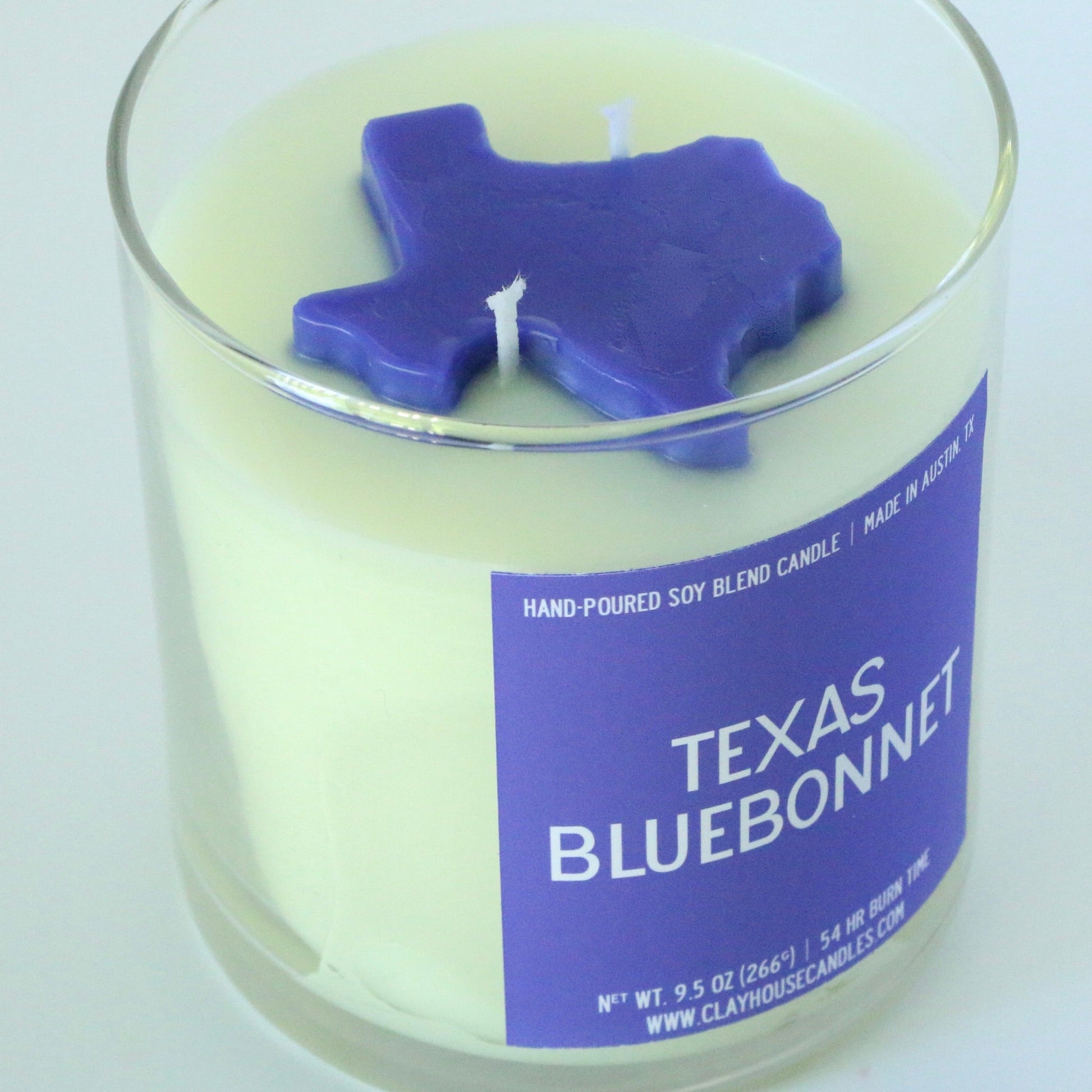 Texas Bluebonnet - 2