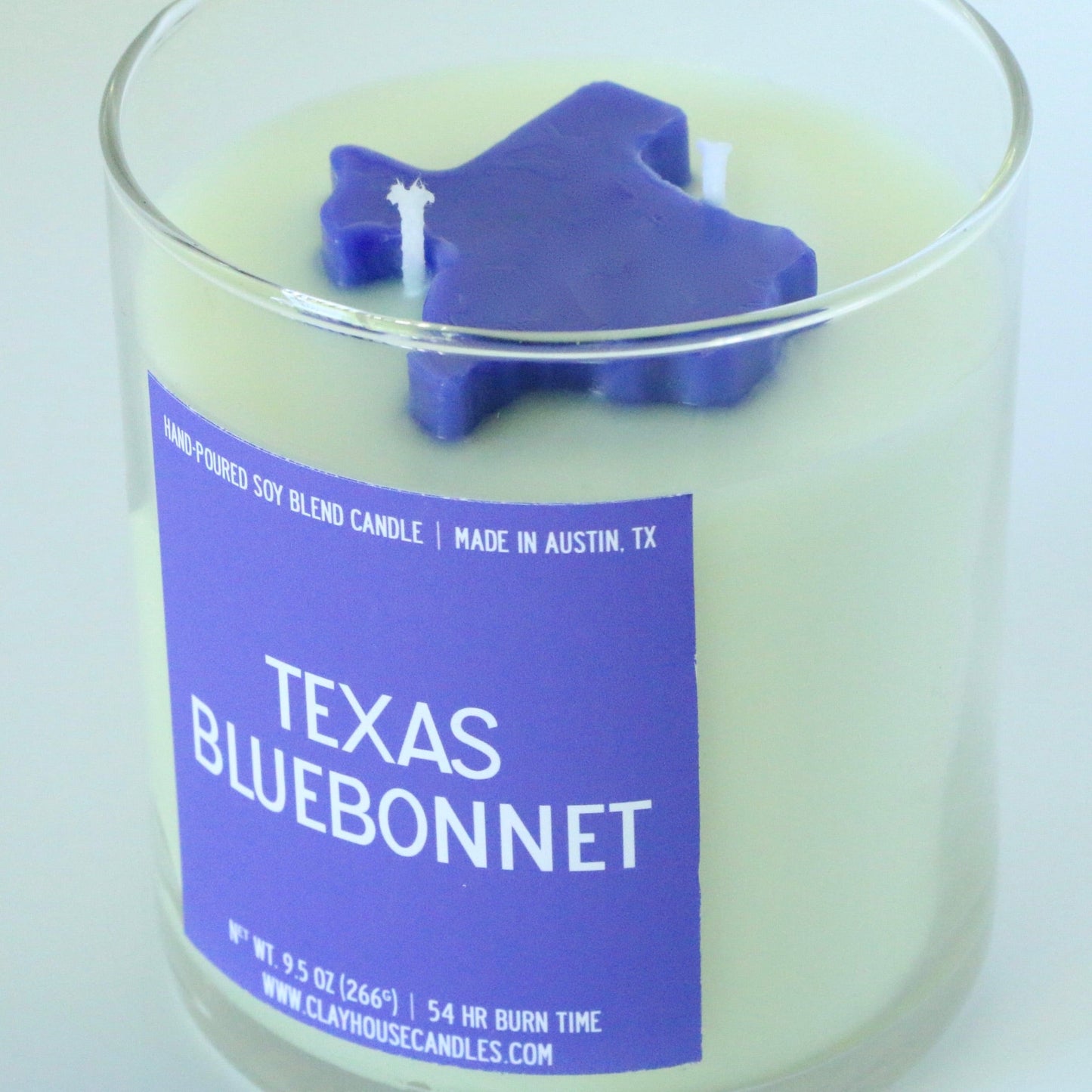 Texas Bluebonnet - 6
